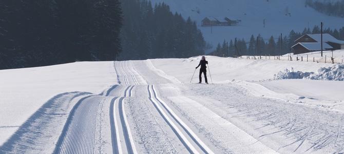 Attache ski, Achat Attache ski :  - Grenoble