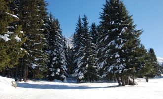 Col de Porte