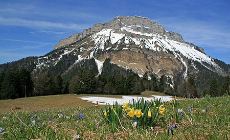 Chamechaude… la  molaire de Gargantua ?